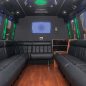 Executive Mini Coach