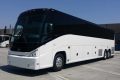 Everyday Holidays Charter Bus Company